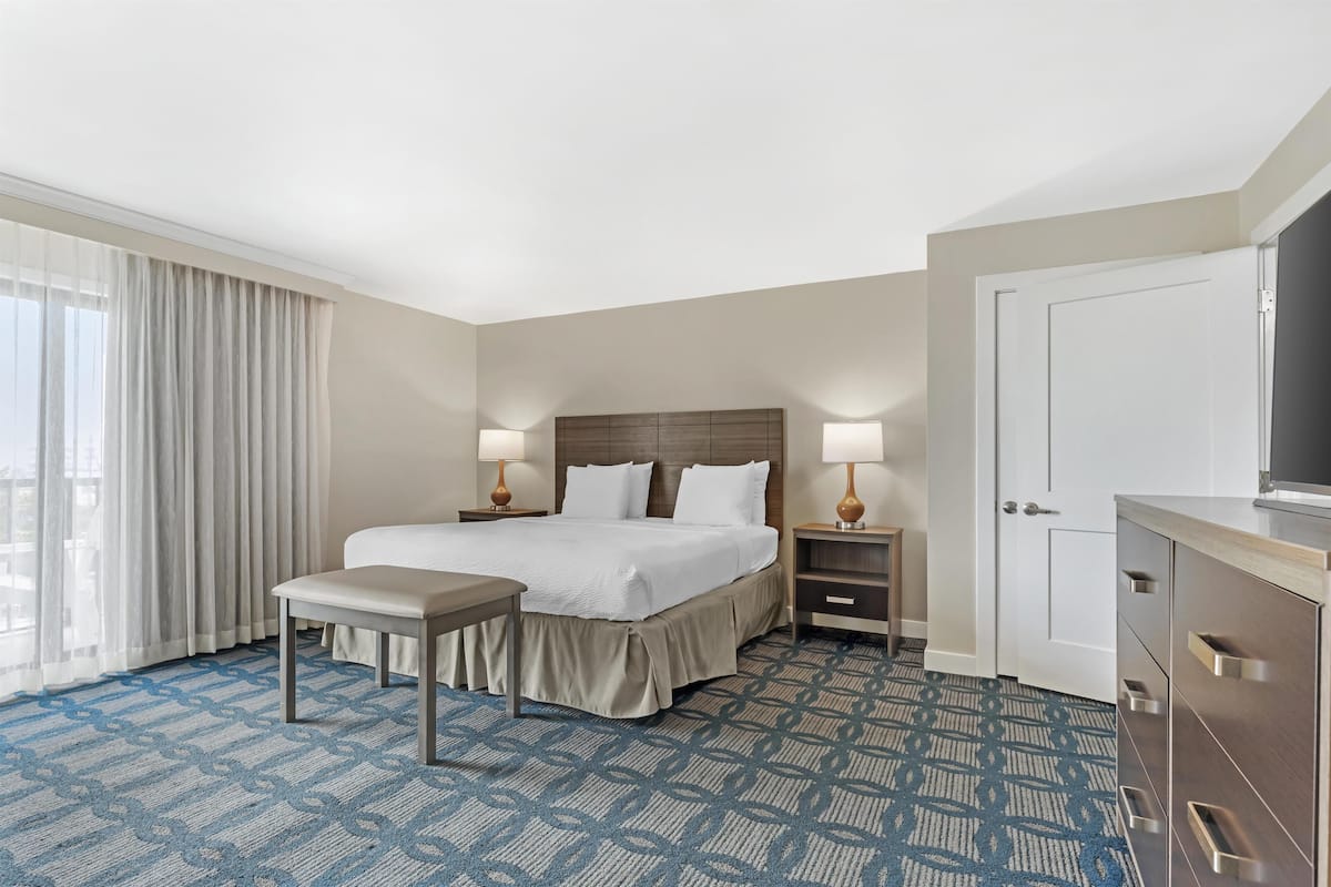 Standard Room, 1 King Bed, Accessible, Balcony (Walk-in Shower;with Sofabed) | Desk, laptop workspace, blackout curtains, iron/ironing board