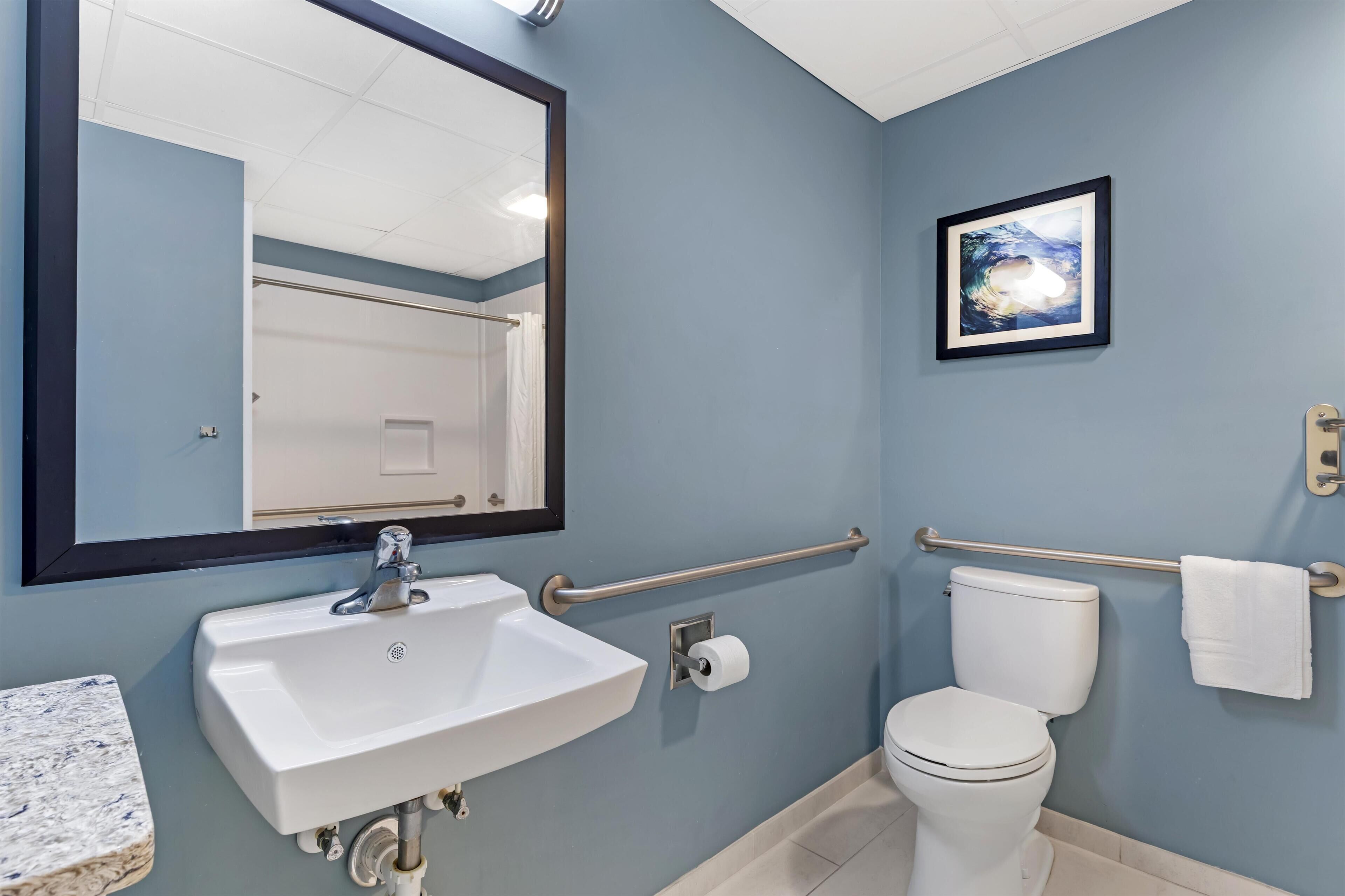 A bathroom with a white sink, a mirror, a toilet, a handrail, and a framed picture on the wall.