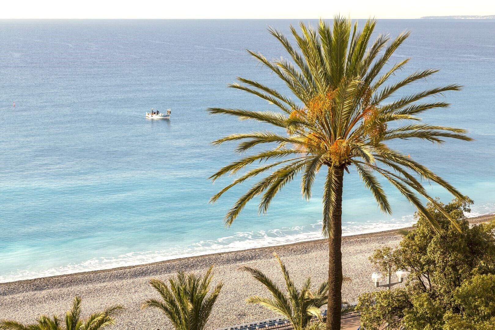 Een strand met een palmboom, een boot op het water en een heldere lucht.