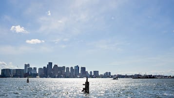 A waterfront view of a city skyline with buildings and a statue in the water.