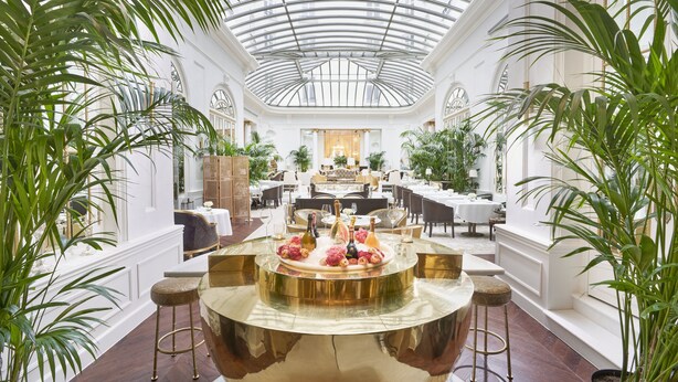 Un lobby de hotel lujoso, con un bar central, techos altos y abundante vegetación.