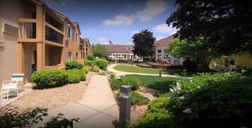 Vista desde la habitación