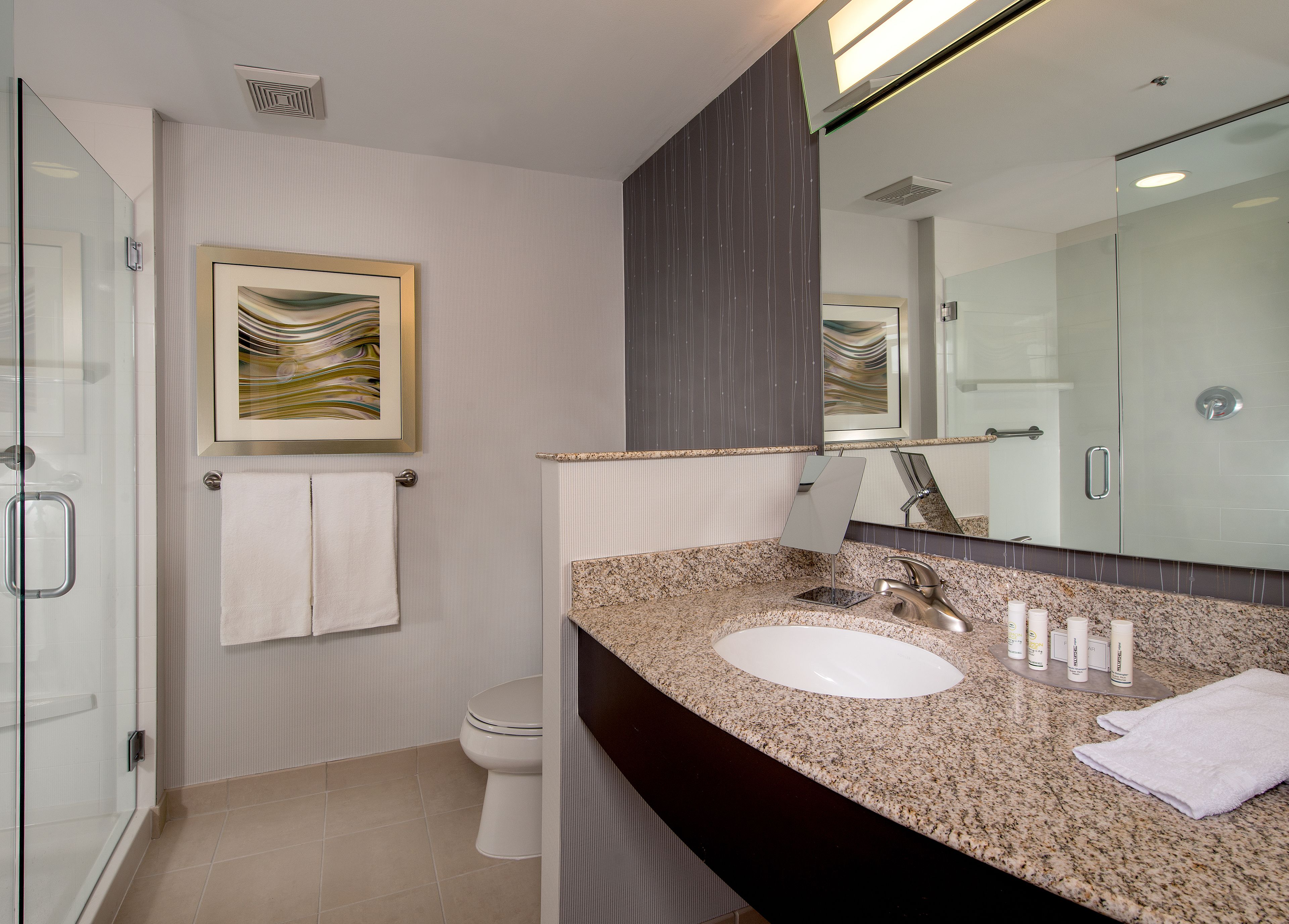 combined shower/bathtub, free toiletries, hair dryer, towels