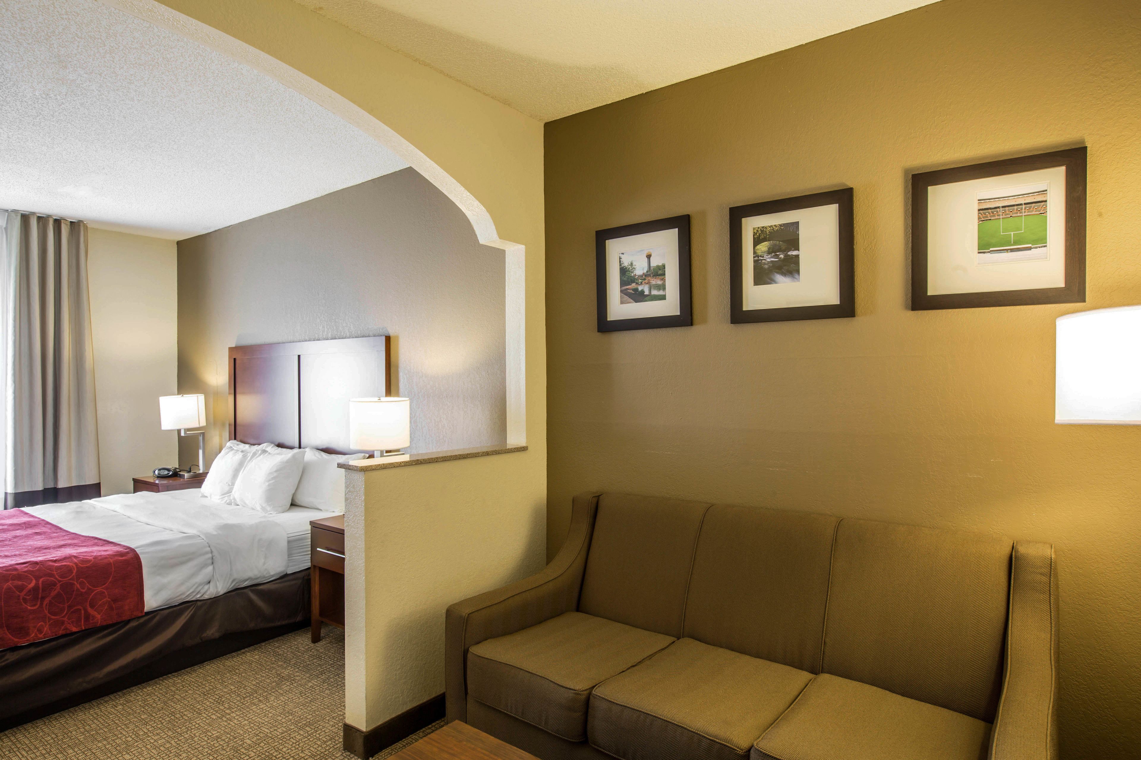 A hotel room with a bed, a sofa, a nightstand with a lamp, and framed pictures on the wall.