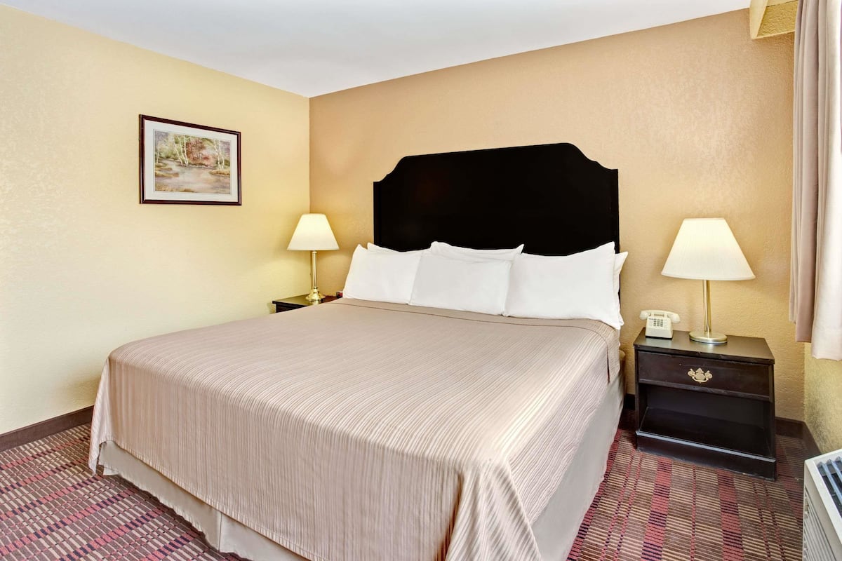 A hotel room with a large bed, two bedside tables with lamps, a framed picture on the wall, and a patterned carpet.