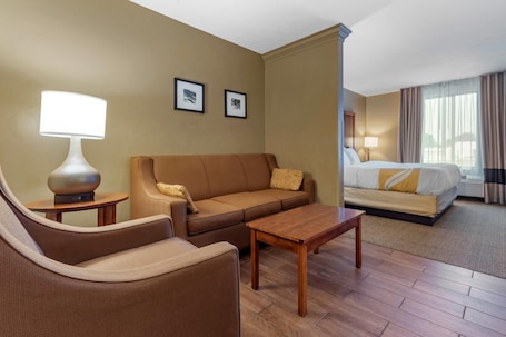 Suite , 1 King Bed Non Smoking, 1 Person Sofa Bed, No pets Allowed | Desk, laptop workspace, blackout curtains, iron/ironing board. Quality Inn Dover