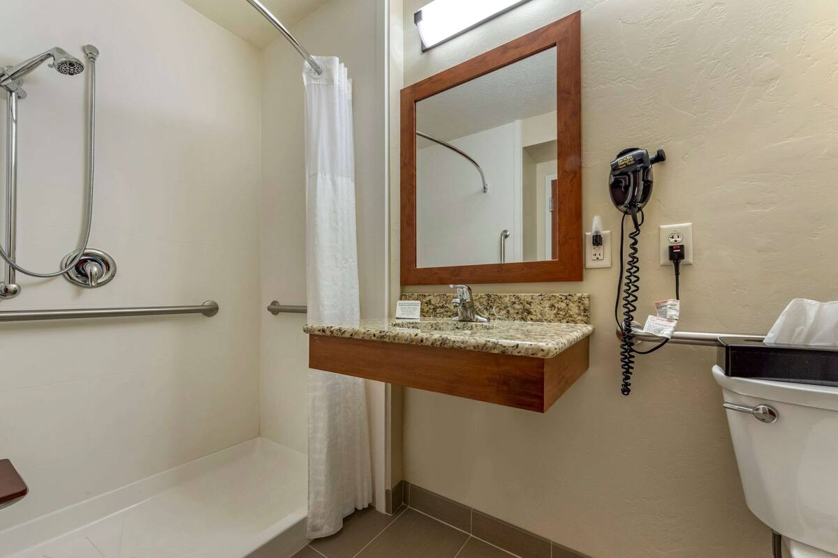 room, 1 king bed, accessible, non smoking | bathroom | shower, hair dryer, towels
