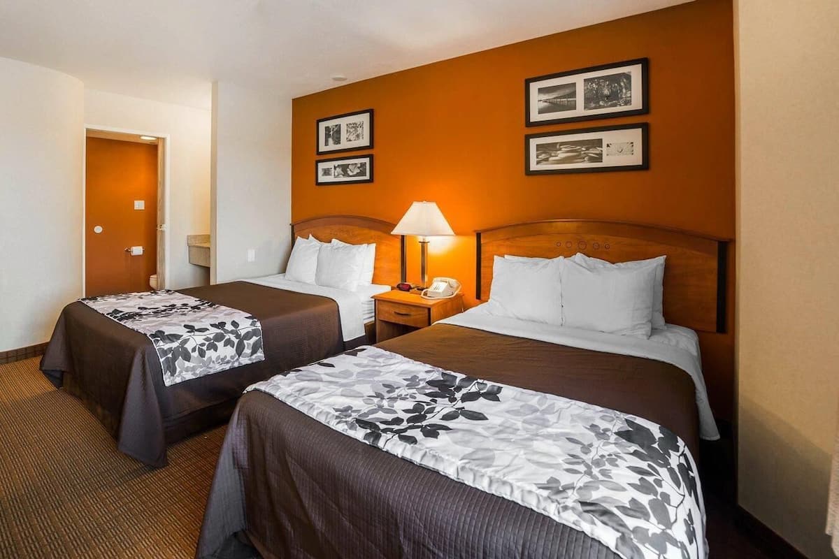 Standard Double Room, 2 Double Beds, Non Smoking | Desk, iron/ironing board, free WiFi, bed sheets