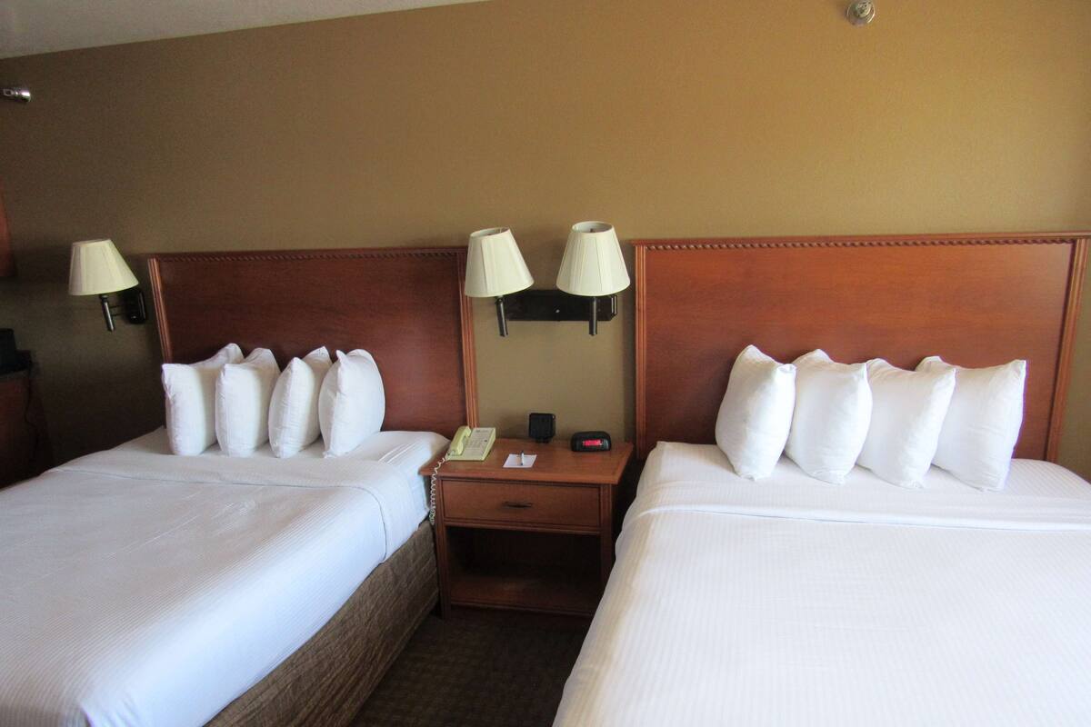 Une chambre d’hôtel avec deux lits, chacun étant équipé de draps blancs et de plusieurs oreillers. Il y a deux tables de chevet avec des lampes et un téléphone.