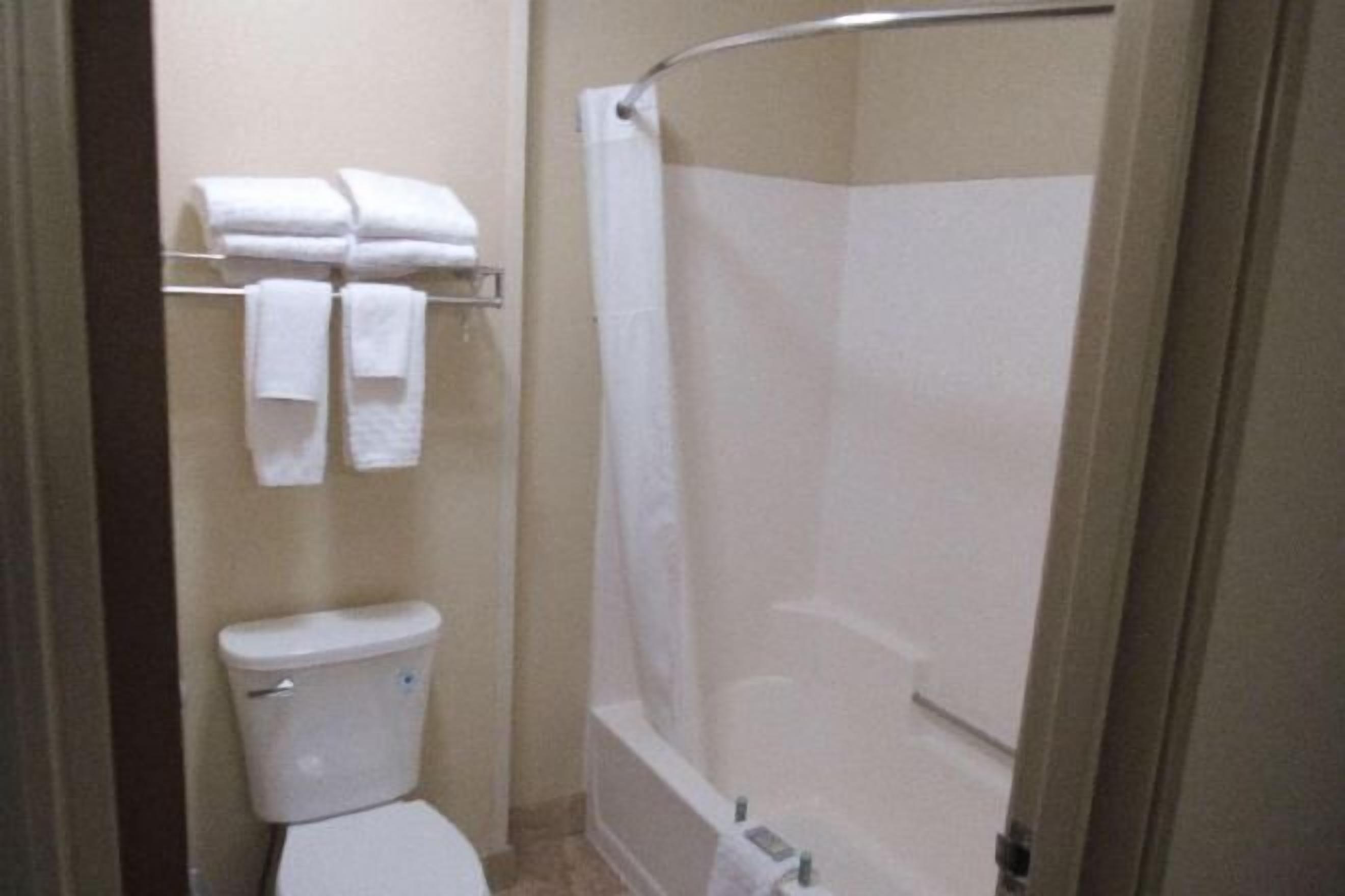 Banheiro | Chuveiro/banheira combinados, produtos de toalete biodegradáveis