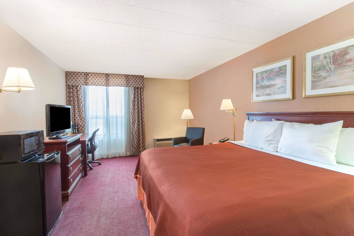 Basic Single Room | In-room safe, desk, laptop workspace, blackout drapes