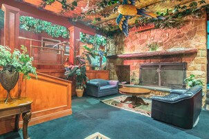 Bar (en la propiedad)