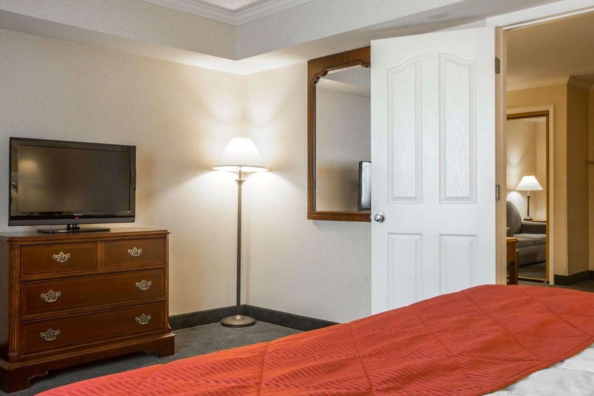 suite (1 king bed, 1 queen bed, large) | desk, blackout curtains, iron/ironing board, free cots/infant beds