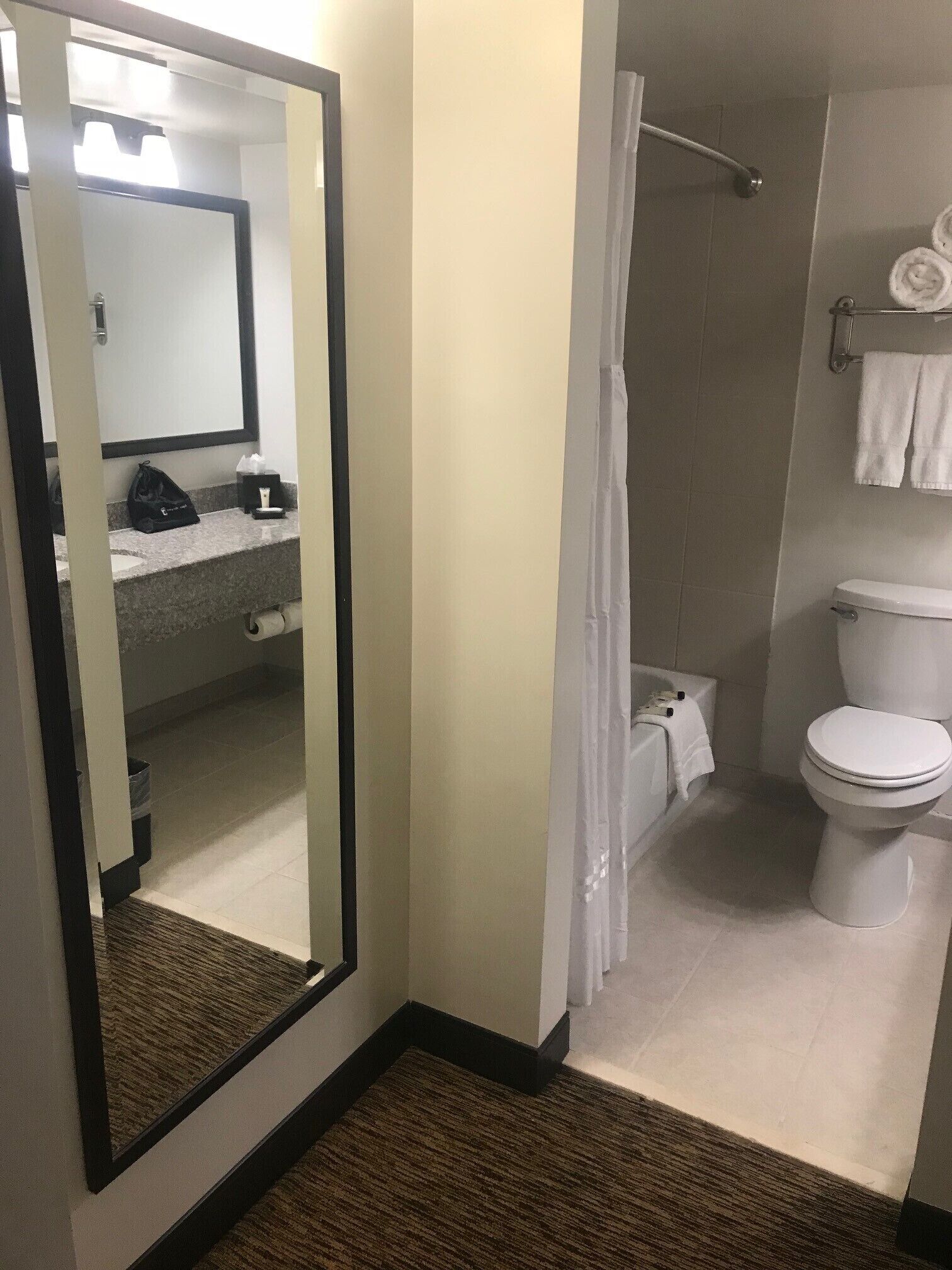 Un baño de hotel con inodoro, ducha y un espejo que refleja la habitación.