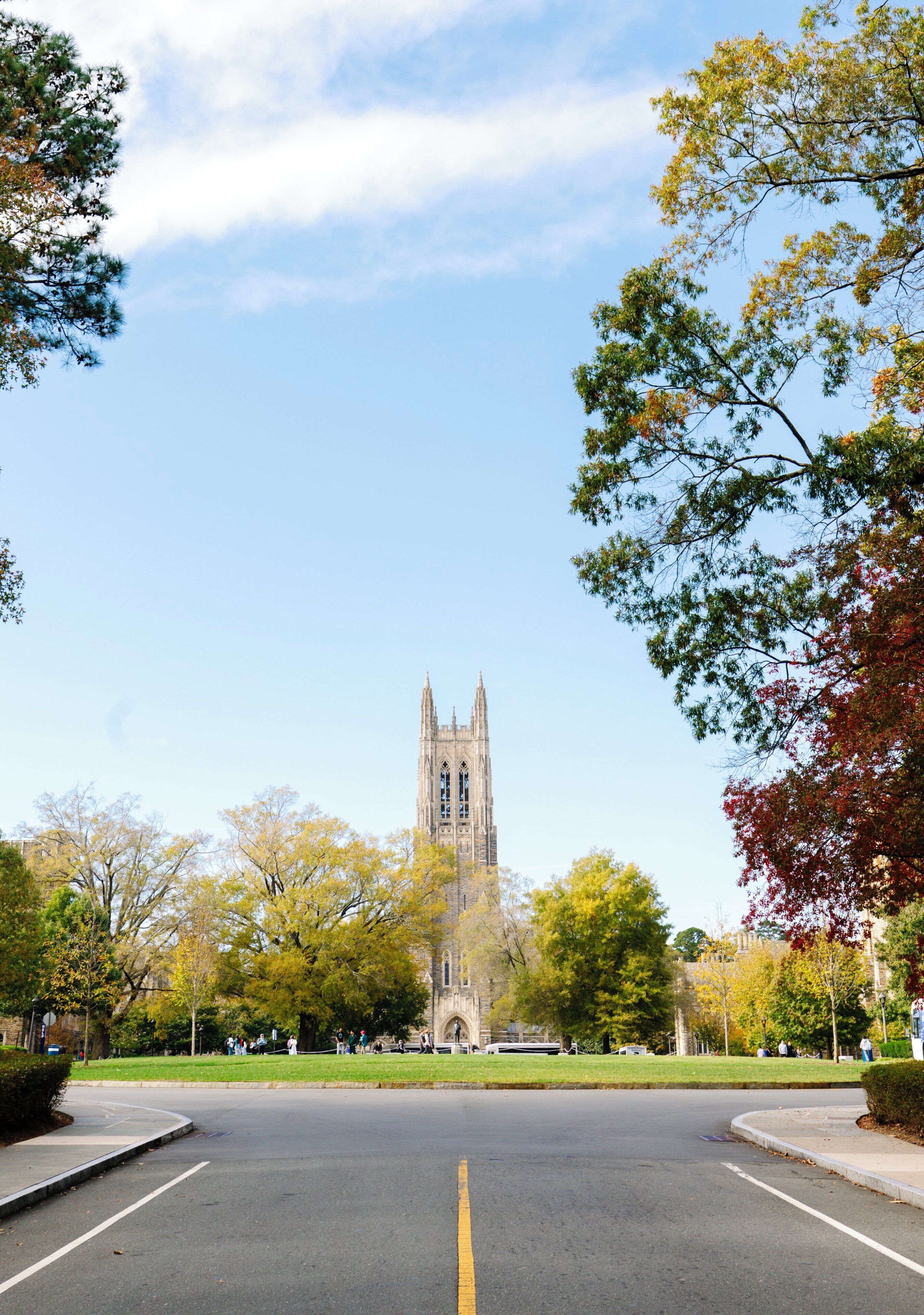 A cathedral with a tall spire, surrounded by trees and a clear sky.
