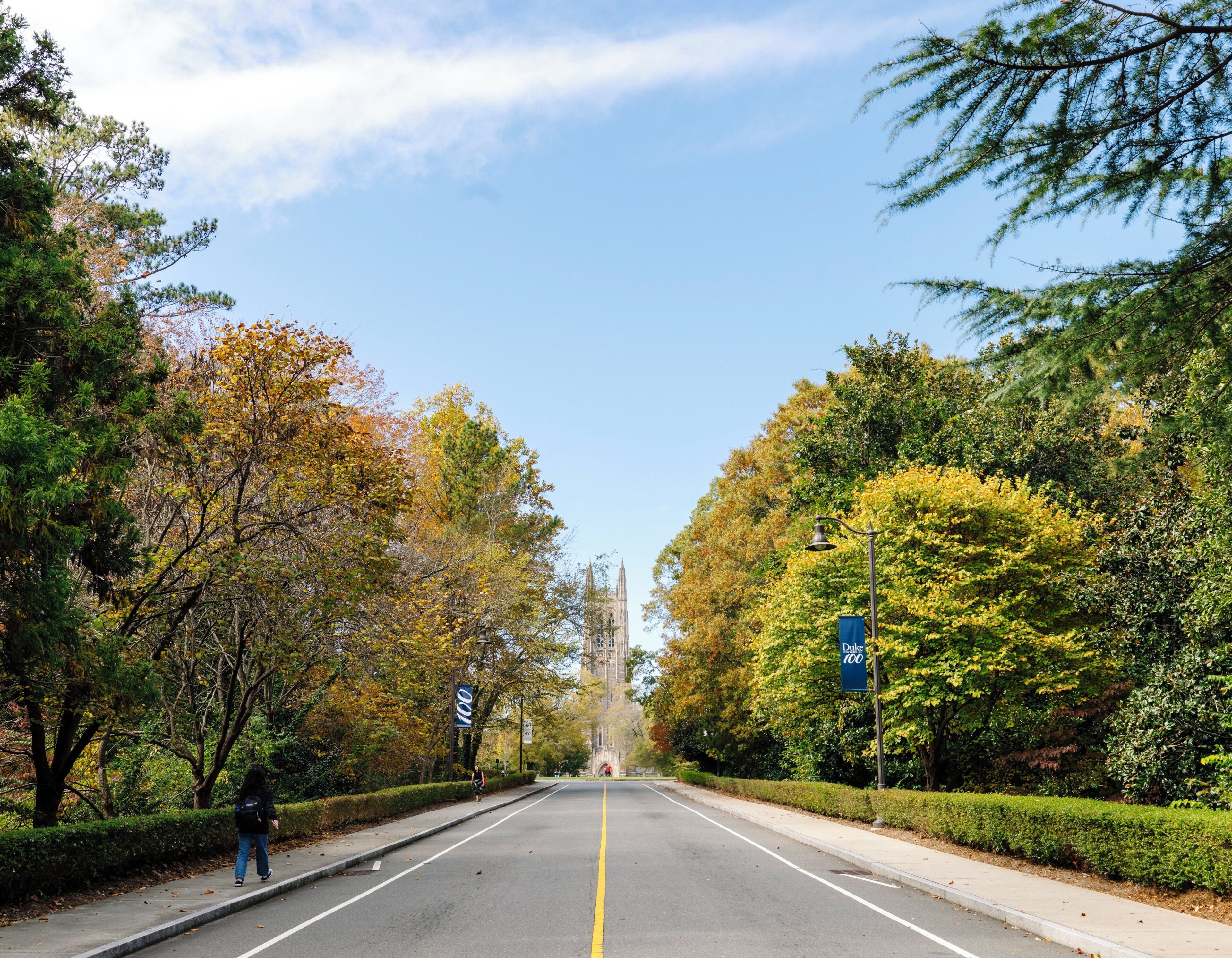 A tree-lined street with a clear sky, a pedestrian, and a sign for Duke 100.