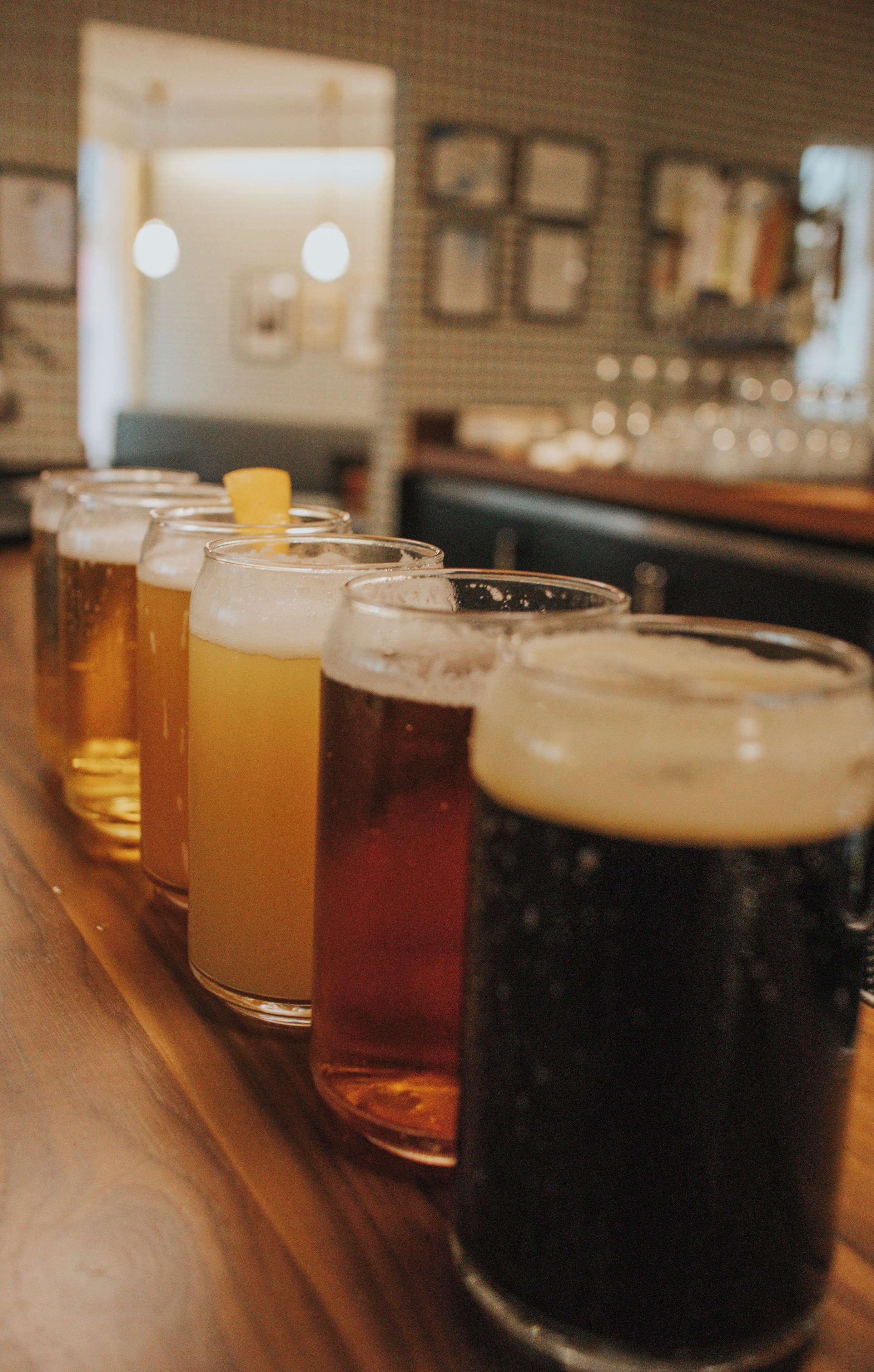 A row of beer glasses on a bar counter.