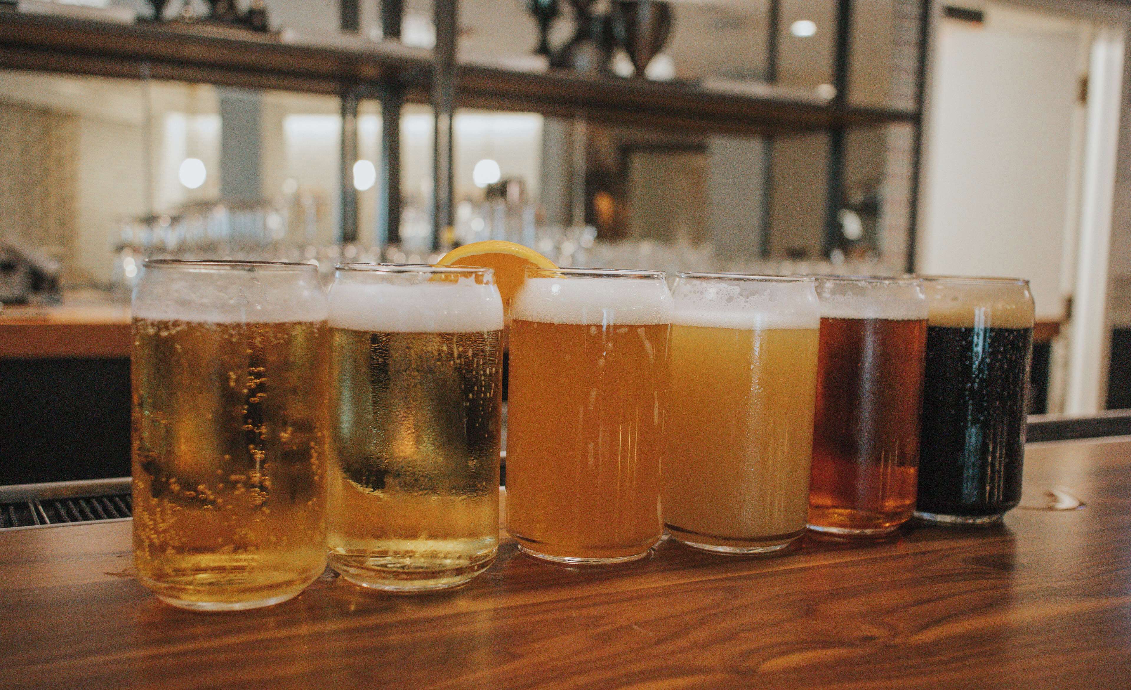 A row of six glasses of beer on a wooden bar counter.