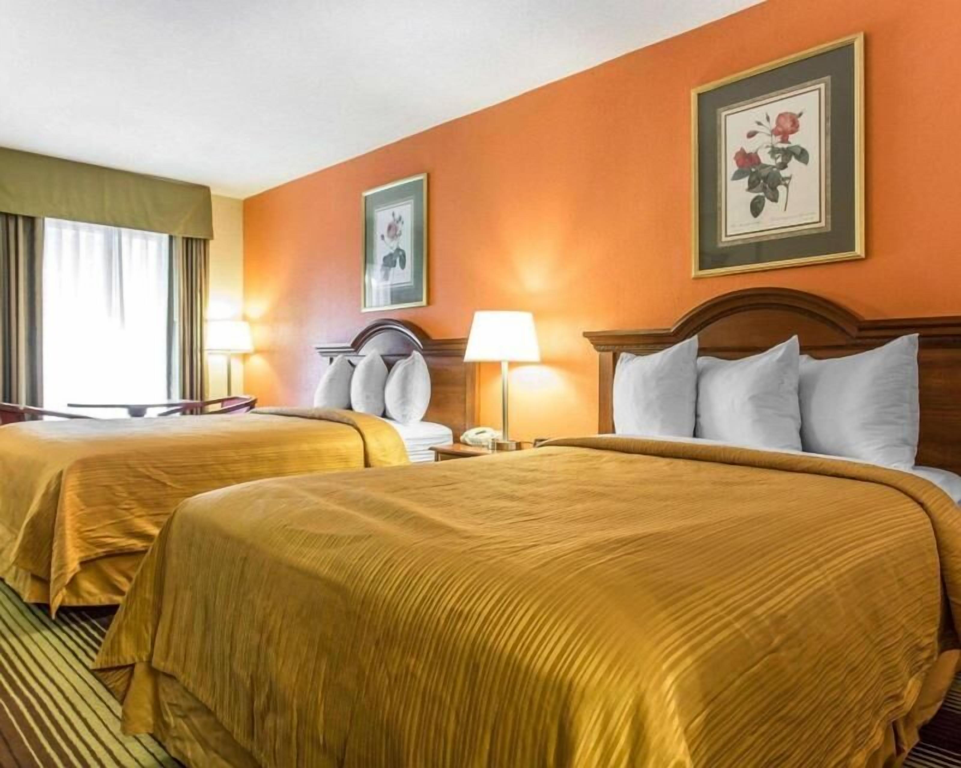Minibar, desk, iron/ironing board, free WiFi