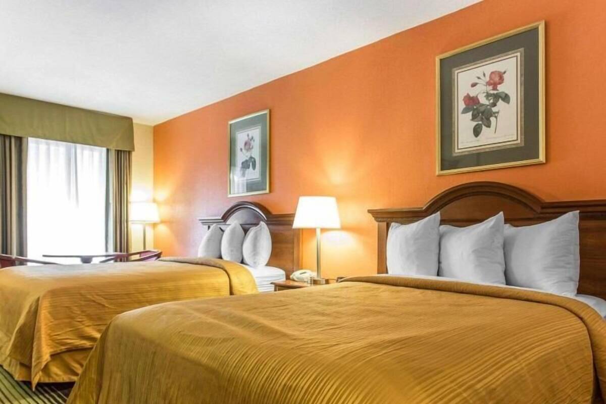 Minibar, desk, iron/ironing board, free WiFi