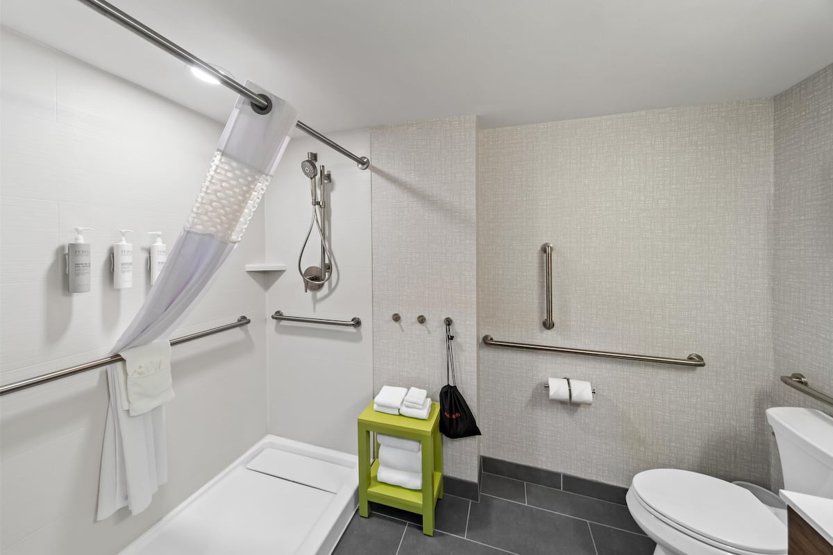 room, 1 king bed, accessible (mobility & hearing, 3x3 shower) | bathroom shower