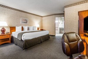 Room, 1 King Bed, Accessible, Non Smoking