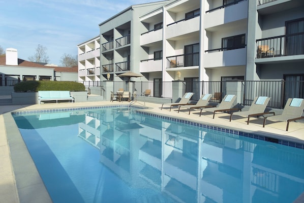 Outdoor pool, sun loungers