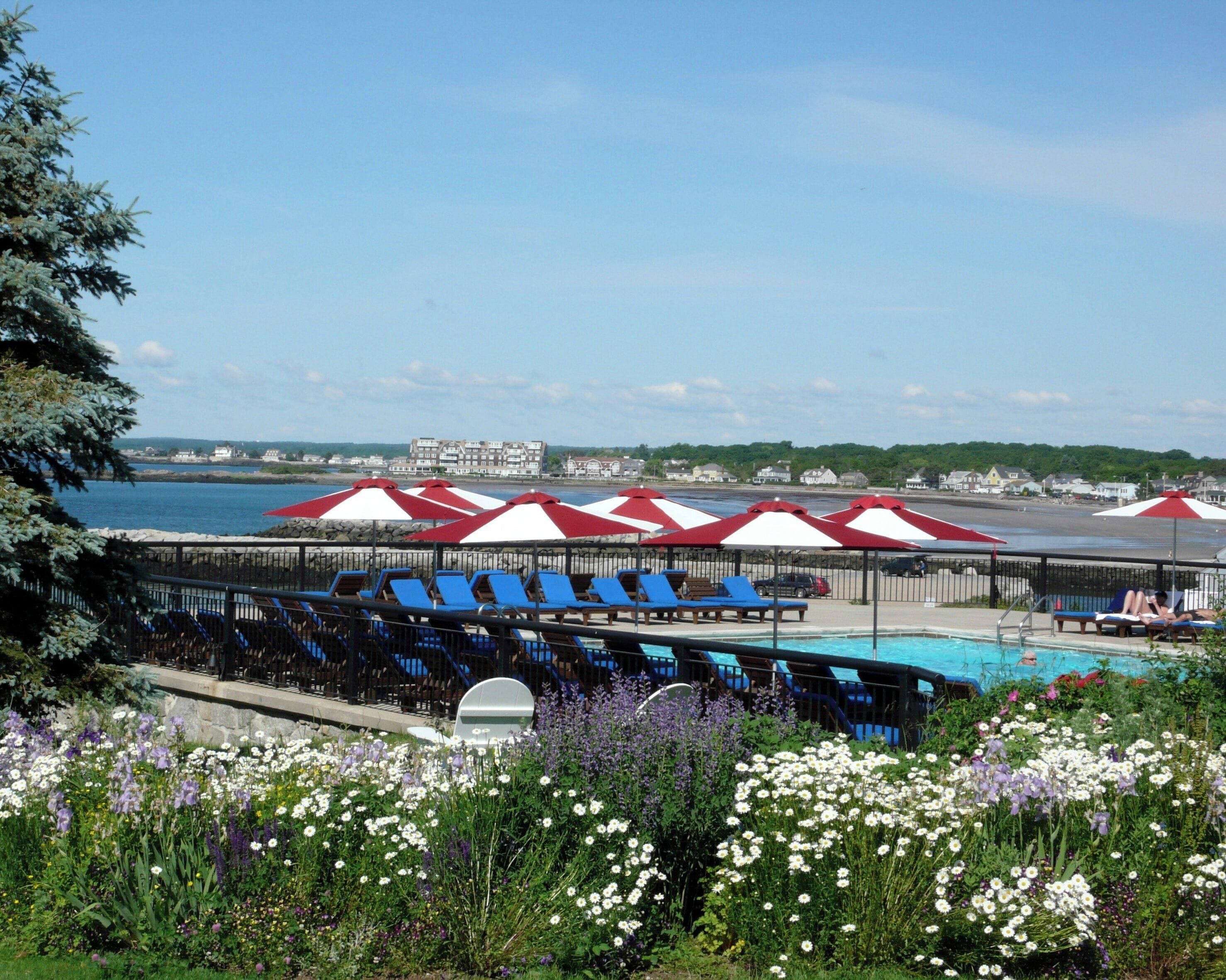 A poolside area with blue lounge chairs, red and white umbrellas, and a view of the sea.