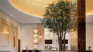 A modern interior with a central tree, seating area, and a circular ceiling light.