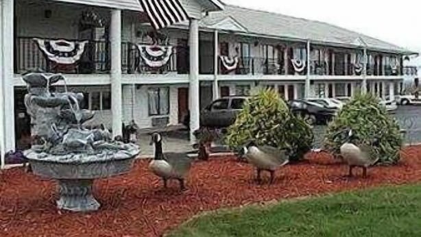 A motel with a two-story structure, a flag, and a fountain in the front yard. - Twinkle Inn (Branson)