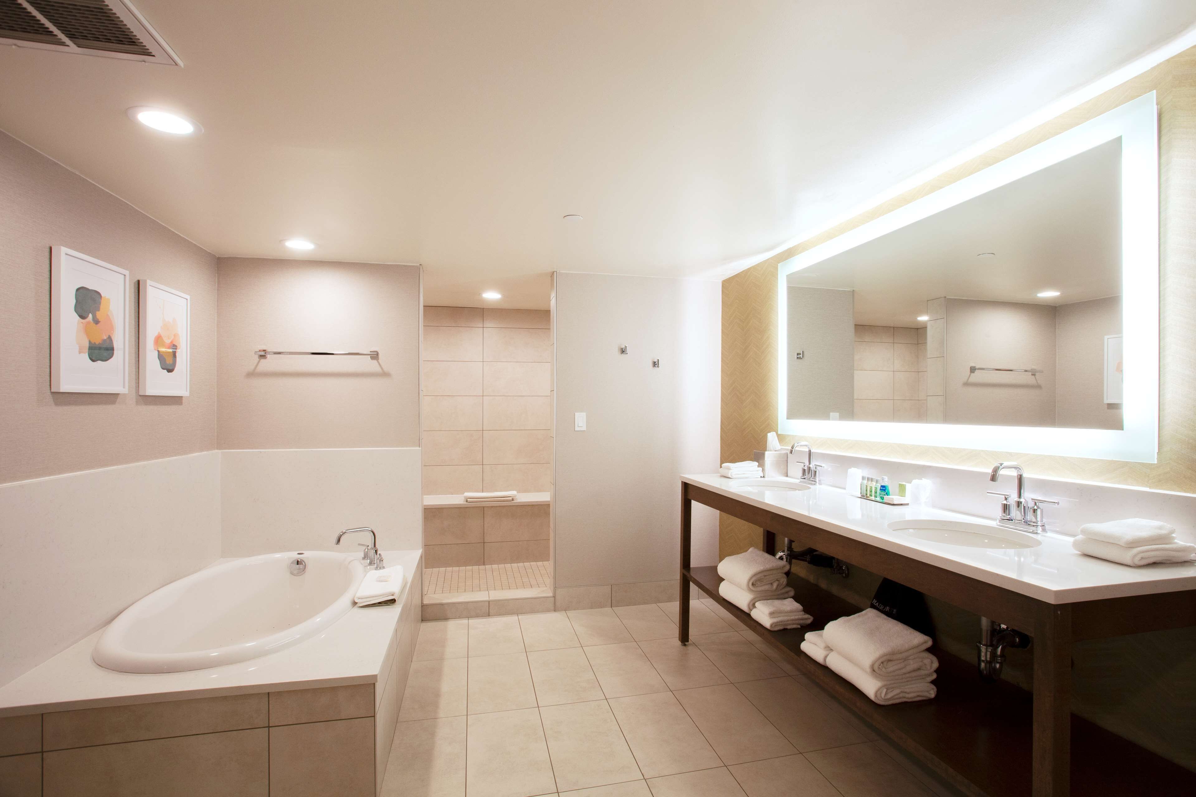 suite, 1 king bed, non smoking, jetted tub (with sofabed) | bathroom | free toiletries, hair dryer, bathrobes, towels