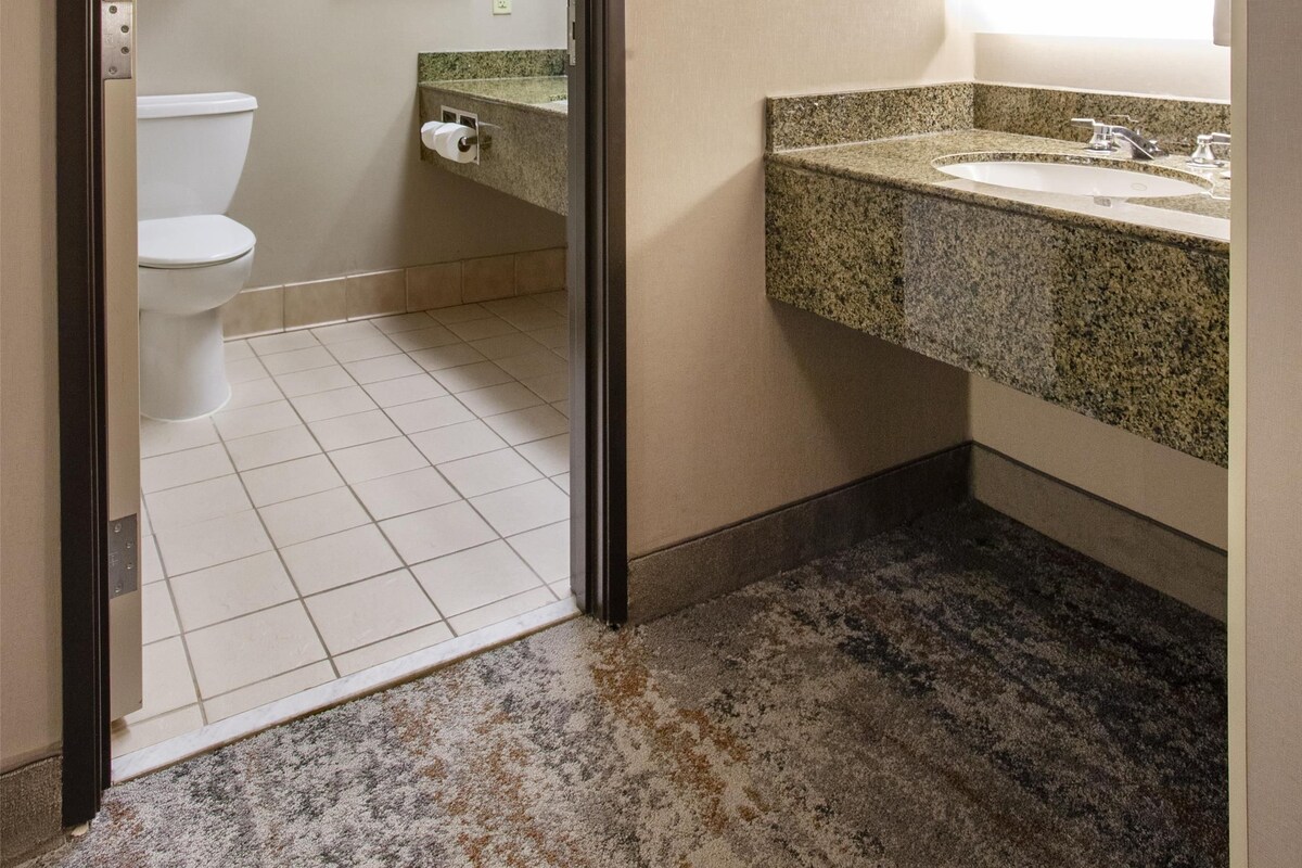 Une salle de bain avec un lavabo en granit, des toilettes et un tableau accroché au mur.