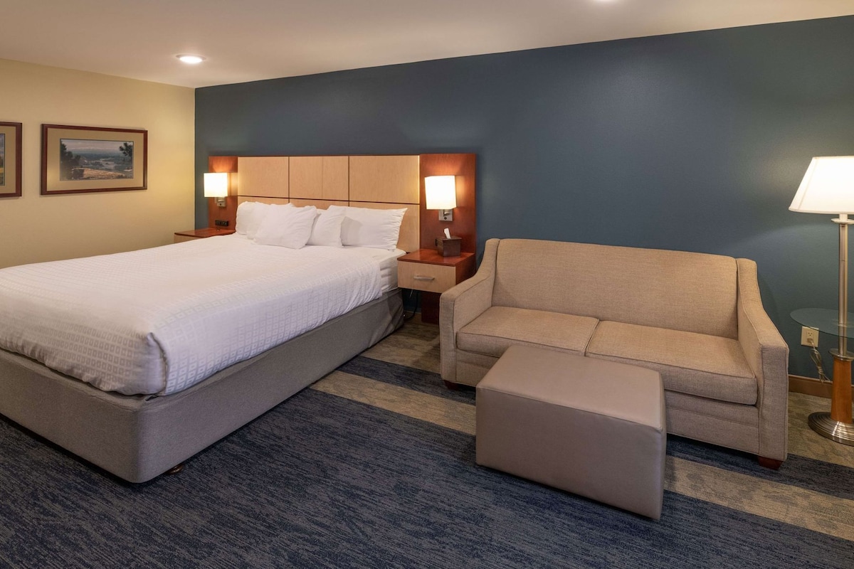 A hotel room with a bed, a sofa, an ottoman, a nightstand, a lamp, and a wall-mounted picture.
