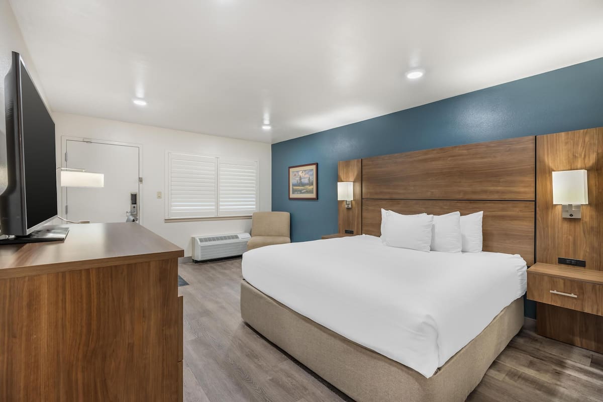 Standard Room, 1 King Bed, Non Smoking, Refrigerator | 1 bedroom, desk, laptop workspace, iron/ironing board