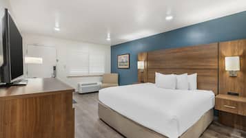 Standardrum - 1 kingsize-säng - icke-rökare - kylskåp | Skrivbord, arbetsyta för laptop, strykjärn/strykbräda och extrasängar