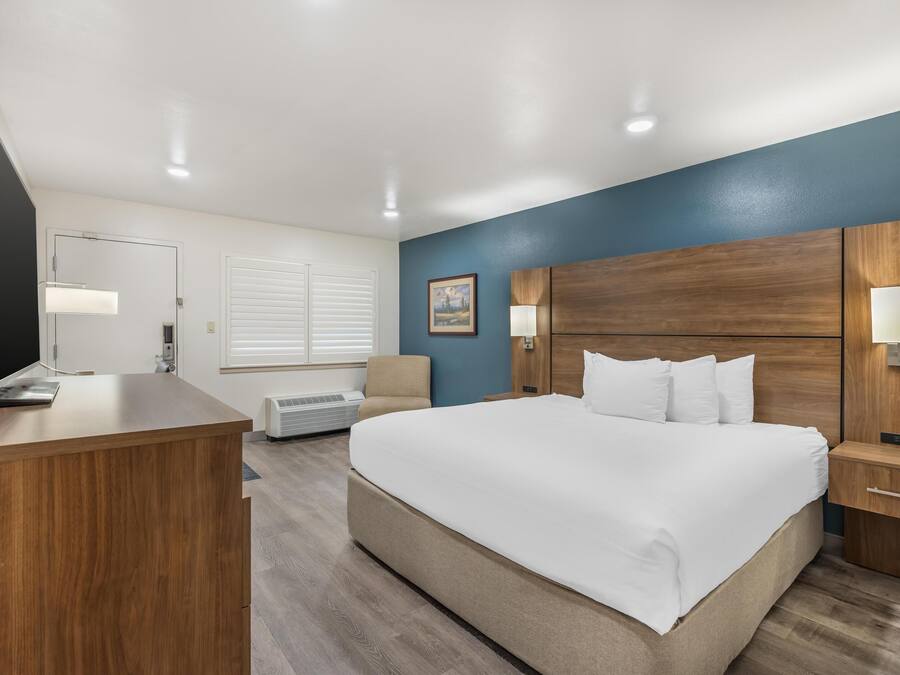 Standaard kamer, 1 kingsize bed, niet-roken, koelkast | Een bureau, een laptopwerkplek, een strijkplank/strijkijzer