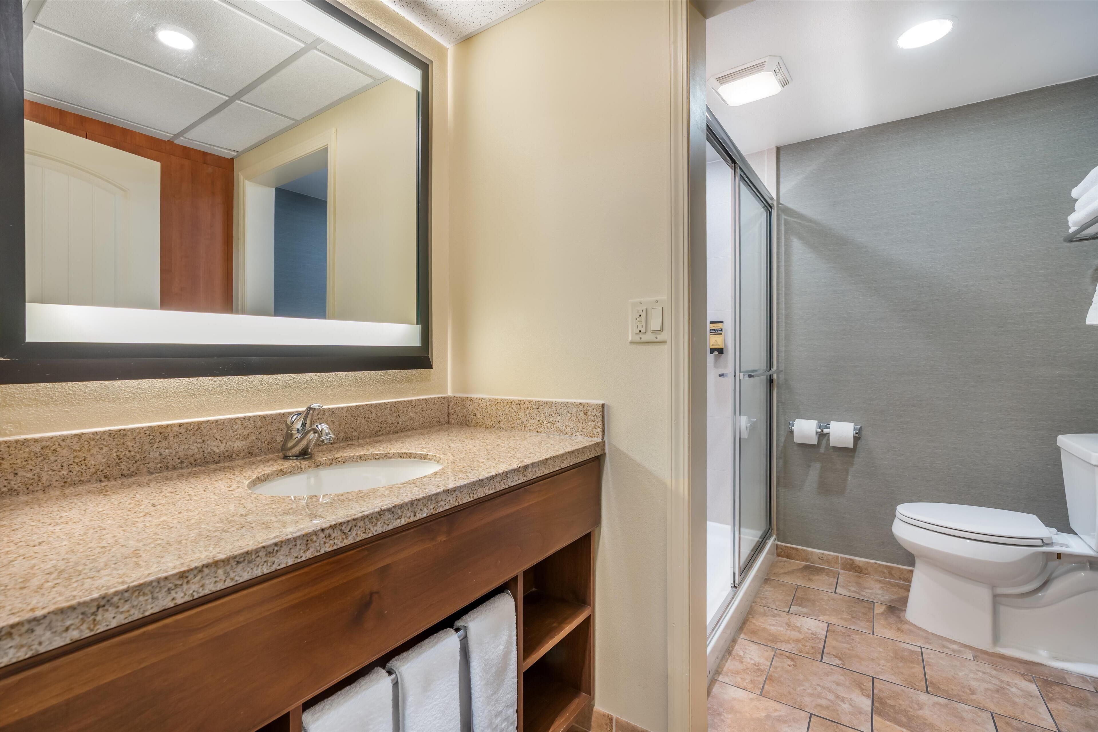 standard room, 1 king bed, refrigerator, courtyard view (with sofabed) | bathroom | combined shower/bathtub, free toiletries, hair dryer, towels