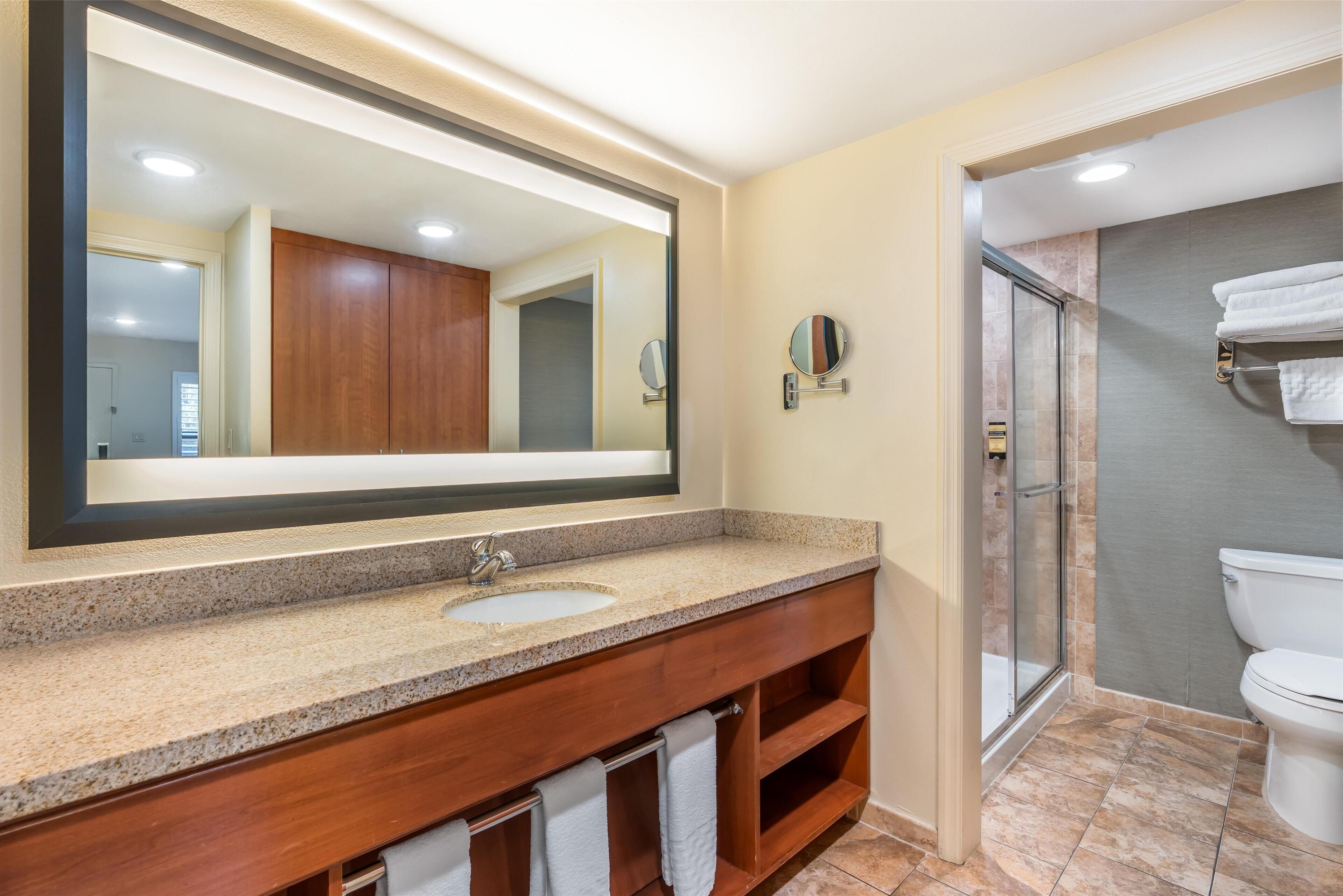 A modern bathroom with a large mirror, a sink, and a shower area.