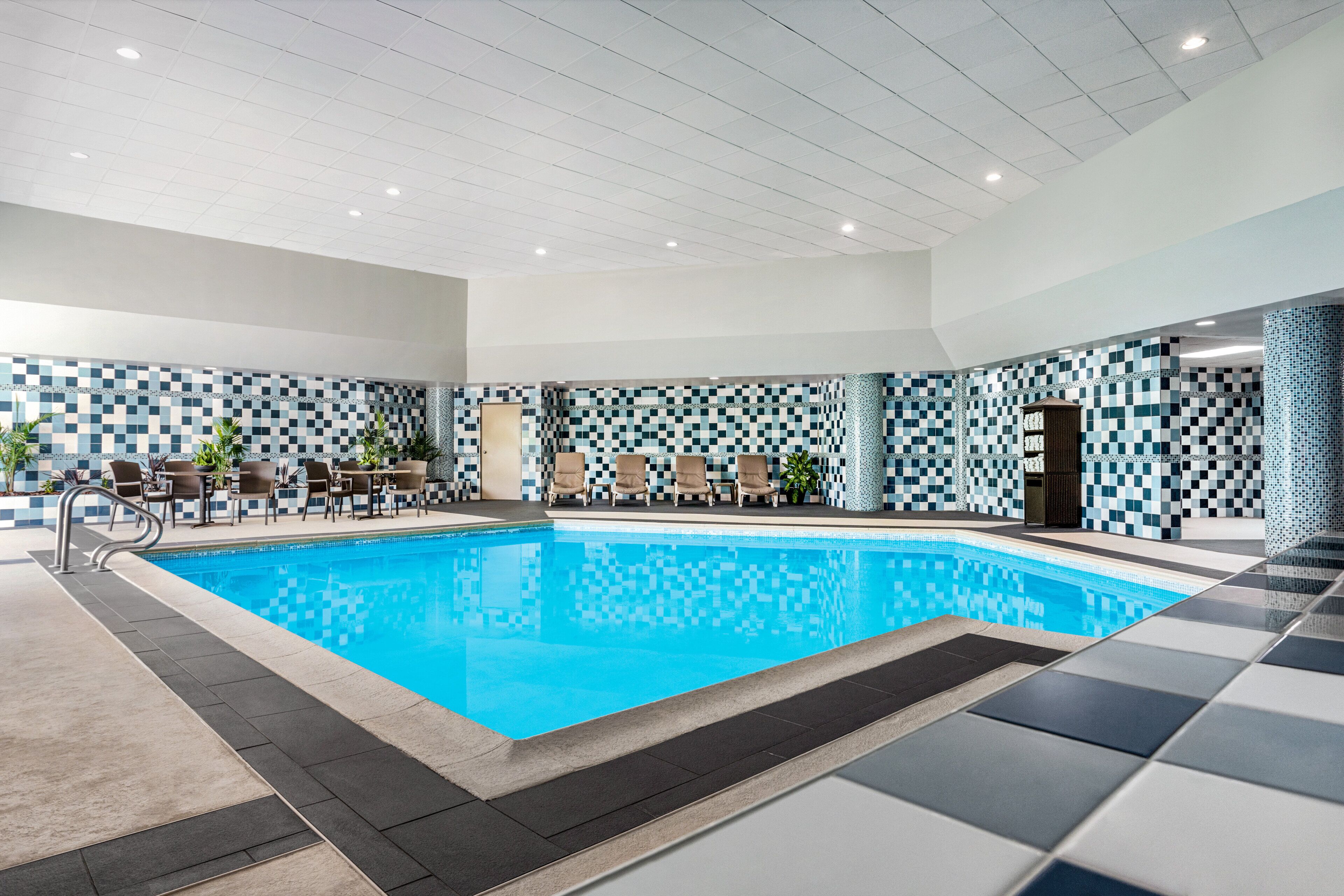 Indoor pool, sun loungers