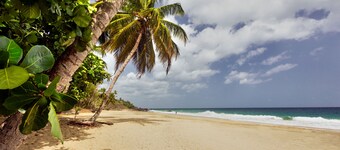 Grafton Beach Resort