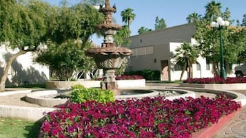 Fontein