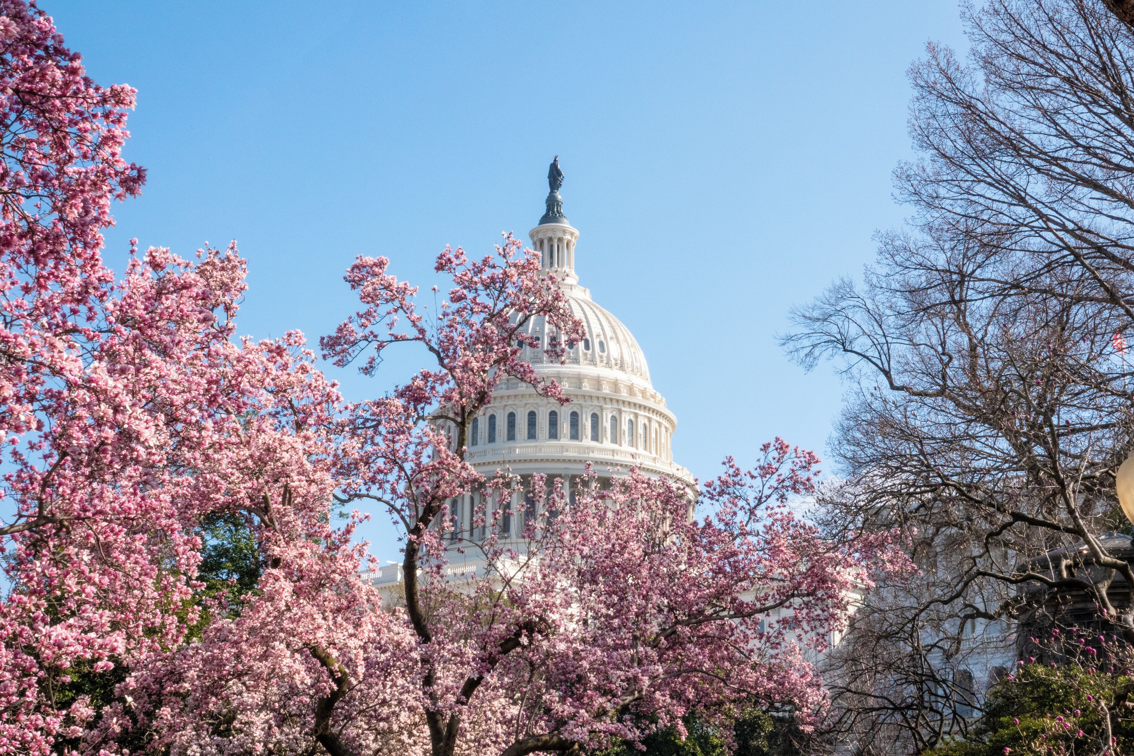 Photo - Grand Hyatt Washington