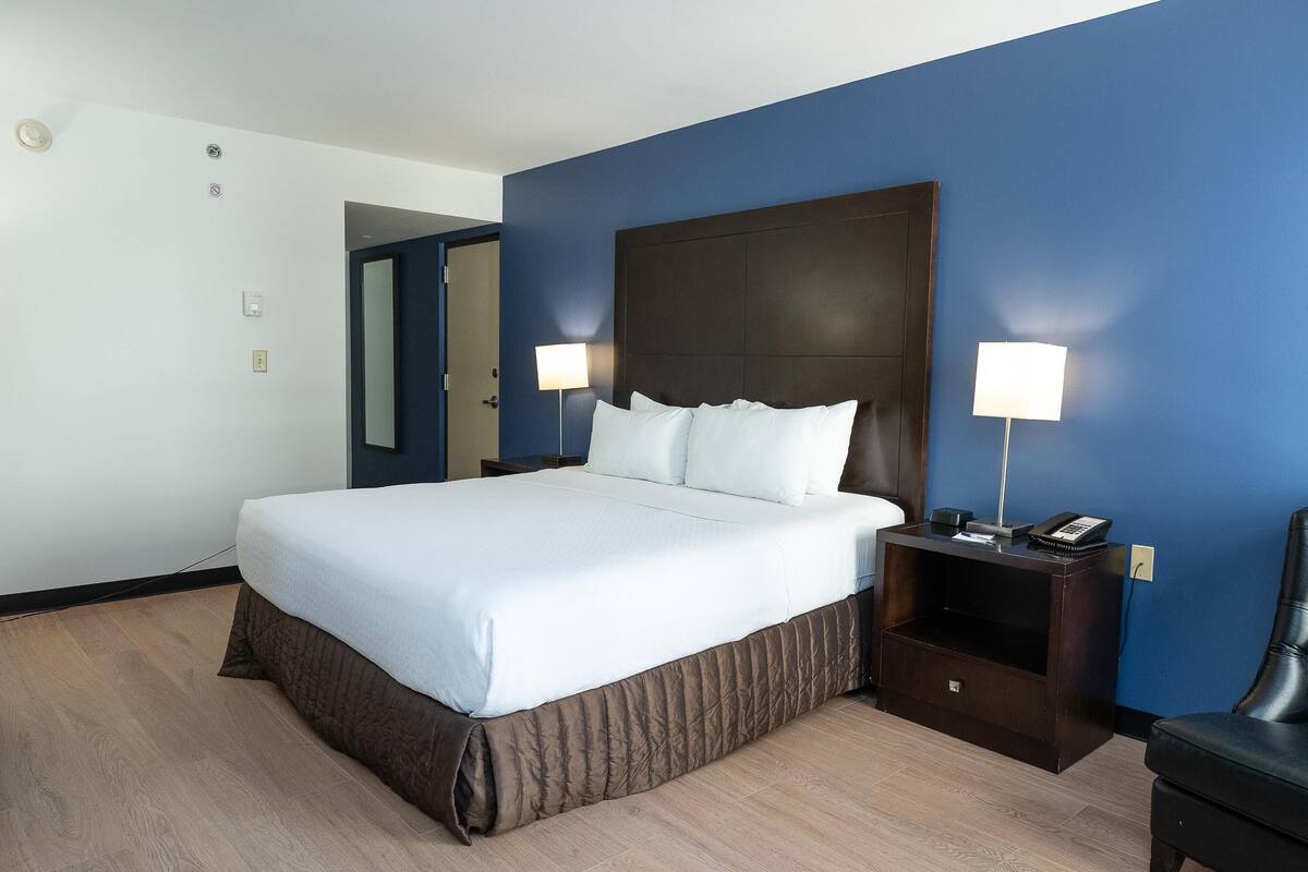 Suíte, 1 cama King, para não fumantes | Escrivaninha, ferros/tábuas de passar roupa, Wi-Fi de cortesia