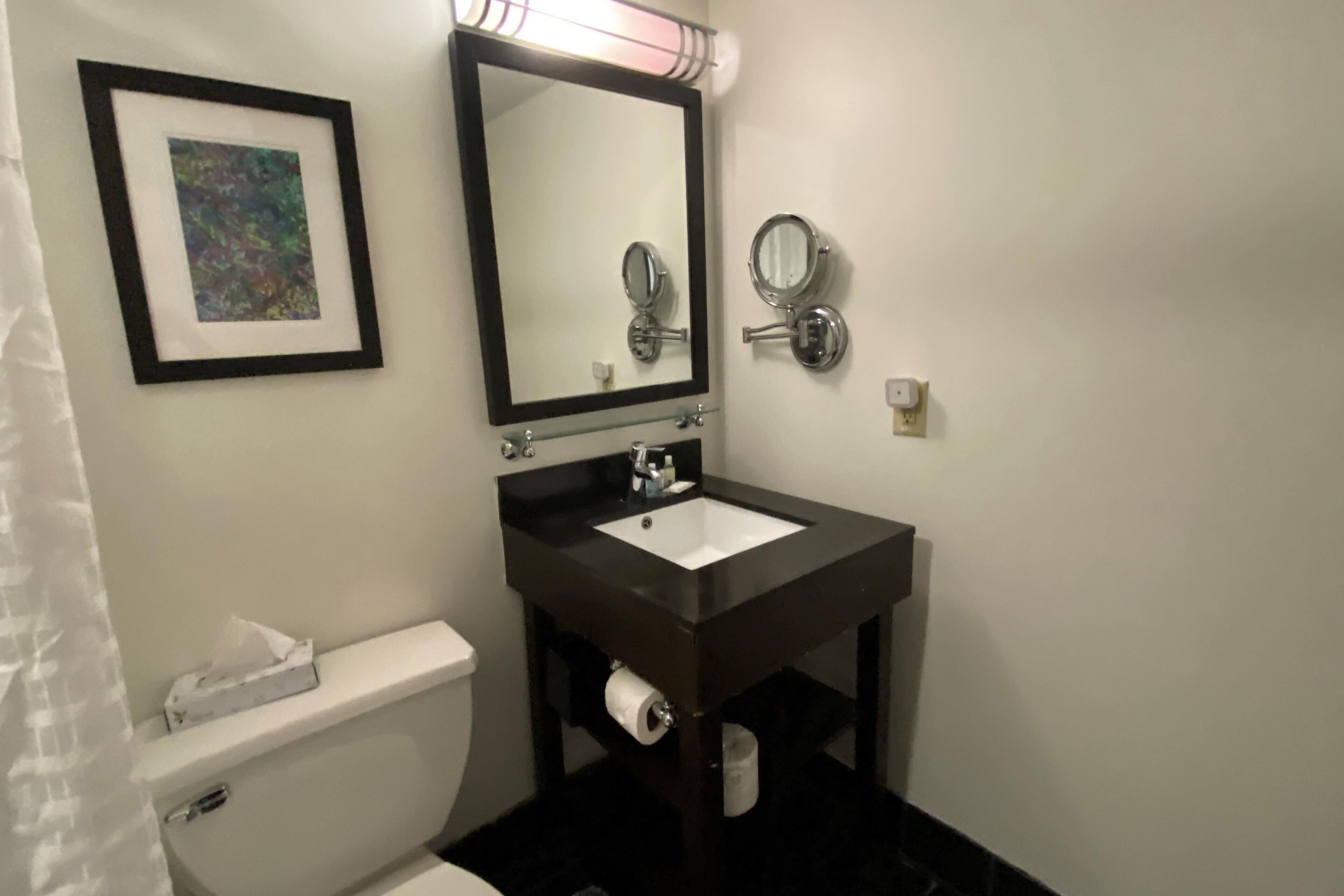 Une salle de bain avec des toilettes blanches, un lavabo noir avec un miroir au-dessus, et un tableau encadré accroché au mur.