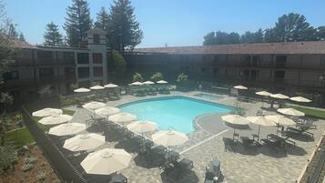 Outdoor pool, pool umbrellas, pool loungers