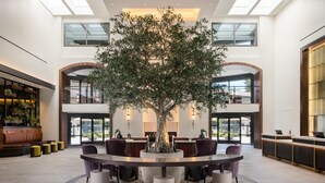 A lobby with a central tree, seating, a reception desk, and a staircase.