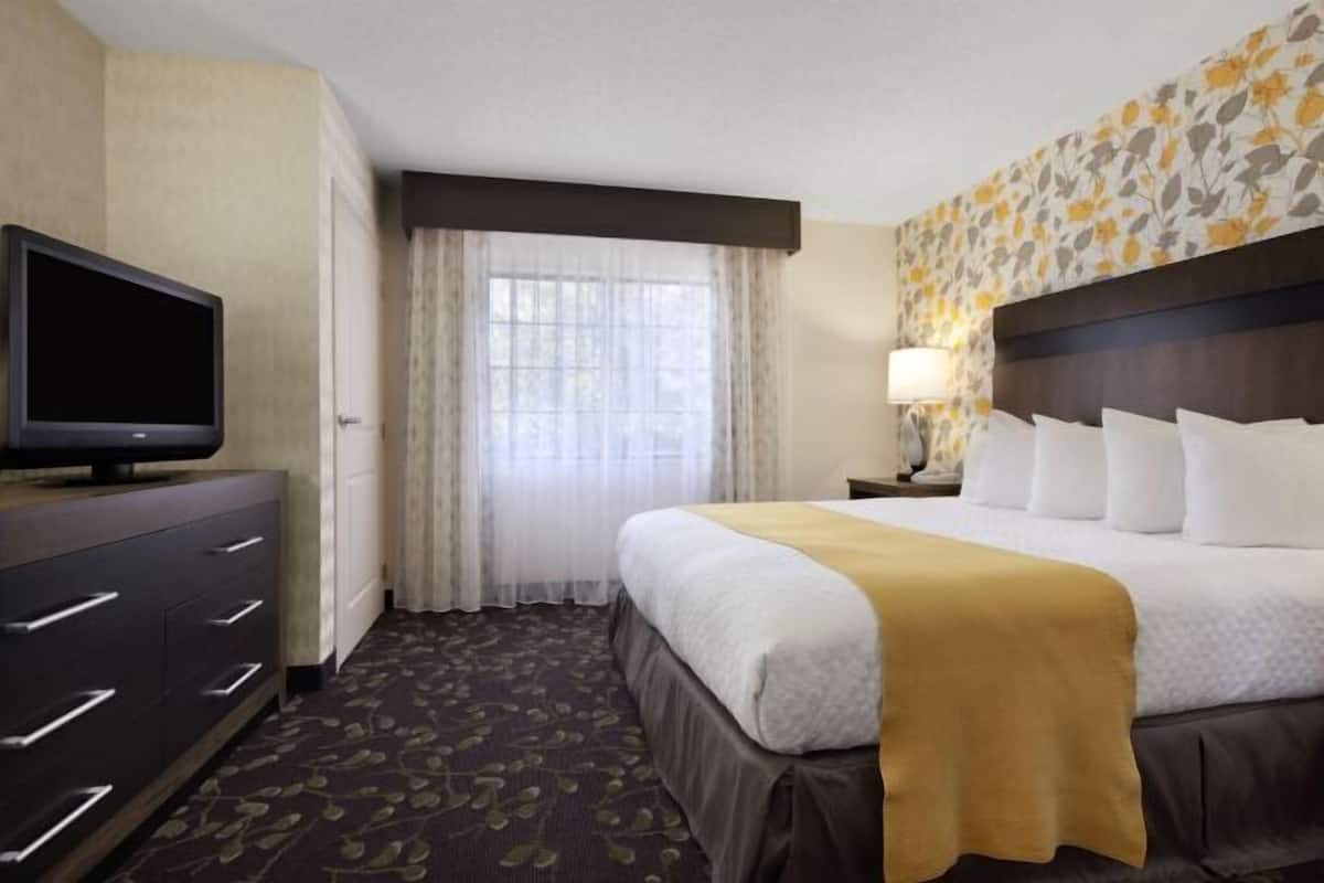 Premium bedding, in-room safe, laptop workspace, blackout drapes