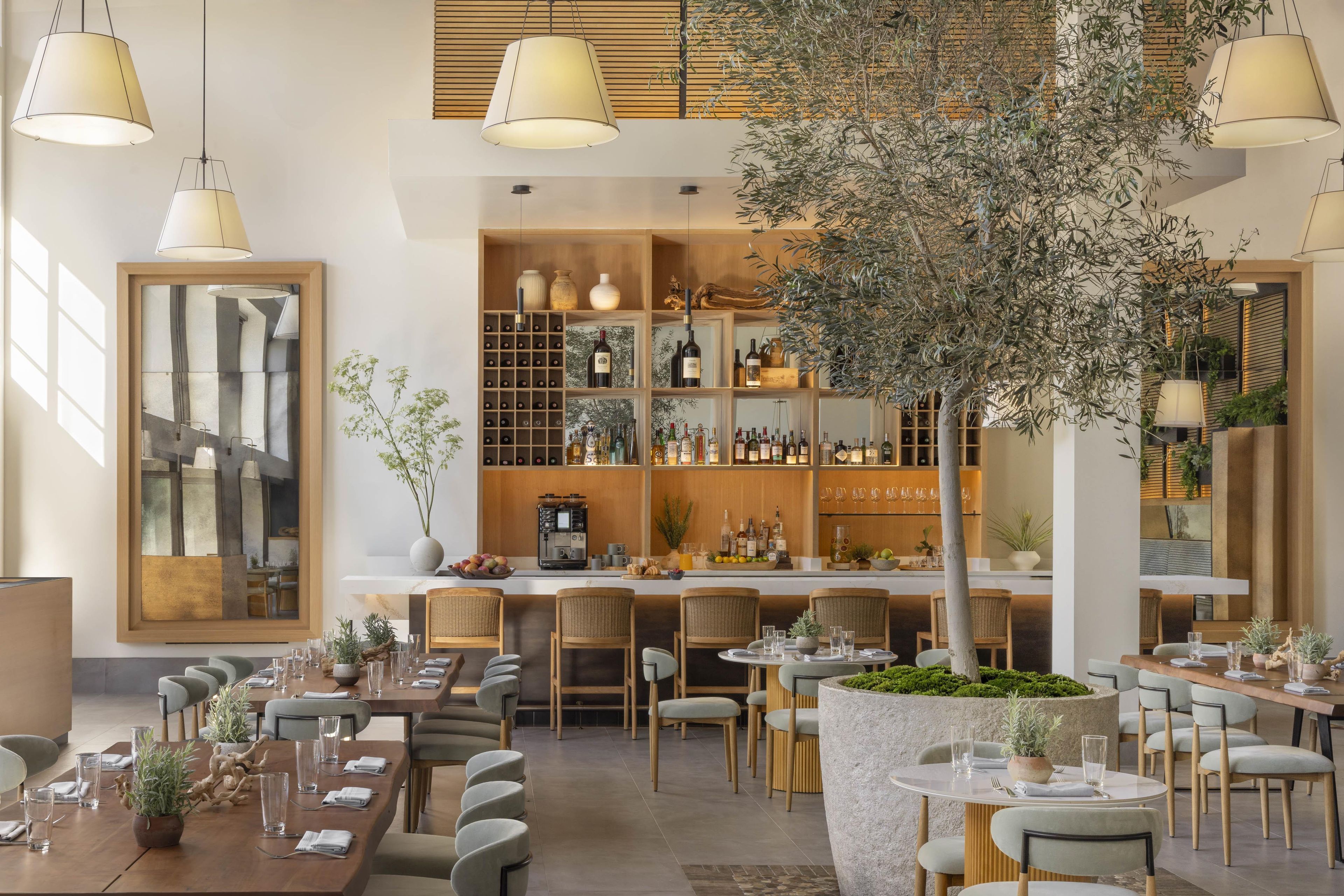A restaurant interior with multiple dining tables, chairs, a bar area with shelves of bottles, and a large tree in the center.