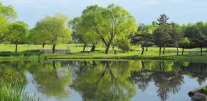 A serene park with a pond, benches, and trees. - Holiday Inn Montreal Longueuil by IHG (Longueuil)