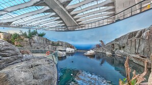 An indoor pool with clear water, surrounded by rock formations and a glass ceiling. - Holiday Inn Montreal Longueuil by IHG (Longueuil)